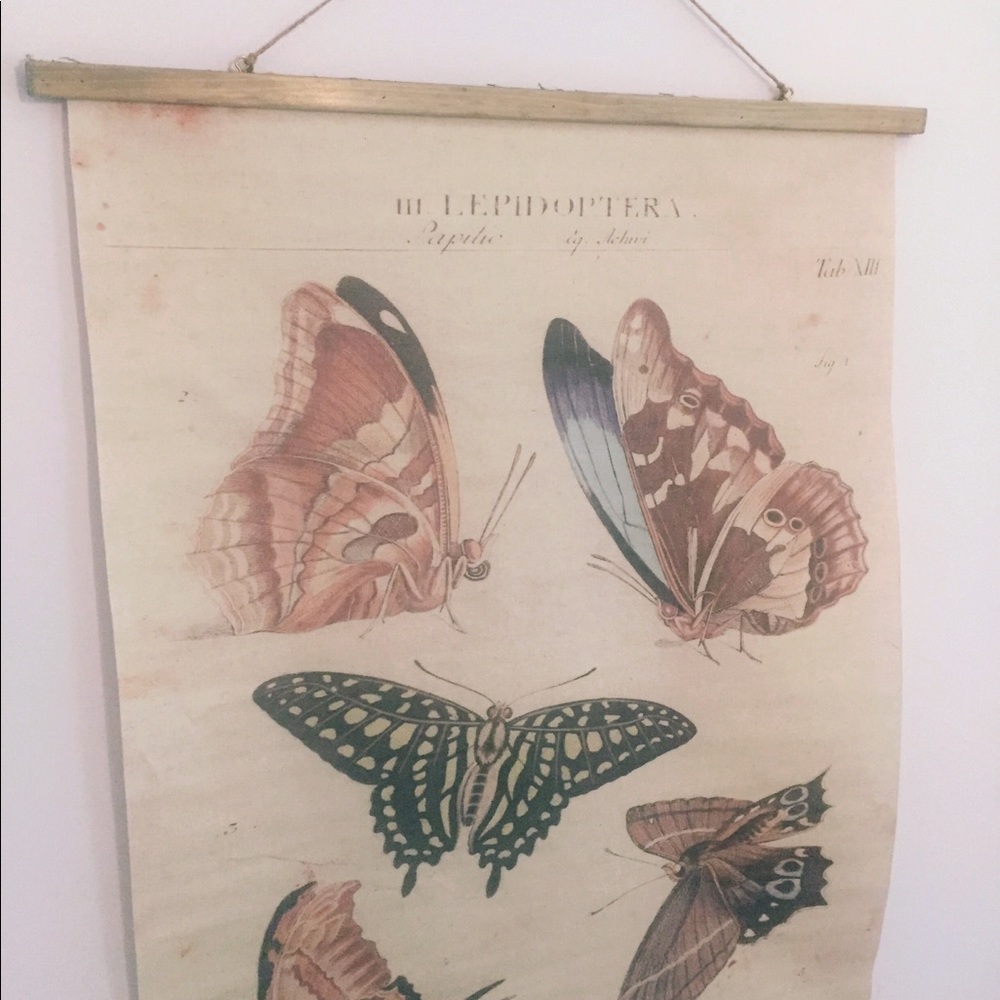 Wall Art  | Boho / Vintage inspired 🦋💕